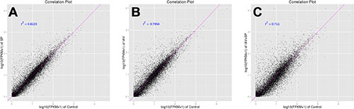 Correlation tests for groups of different treatments.