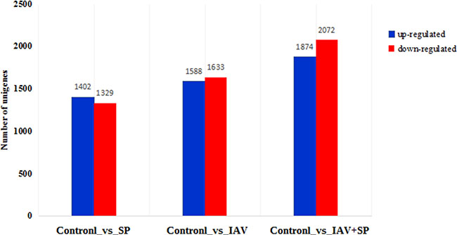 Number of DEGs in different groups.