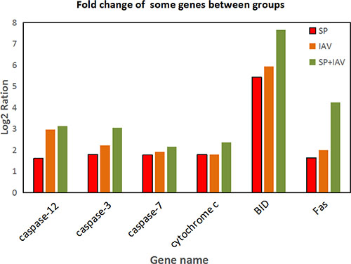 Fold change of some genes which are closely related to apoptosis.