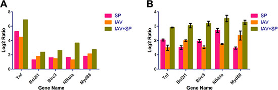 RT-PCR analysis of 5 randomly selected unigenes.