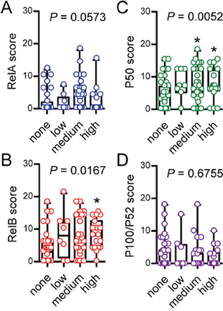 Immunohistochemical detection of NF-&kappa;B subunit expression by tumor grade.