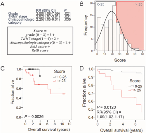 Cox regression analysis of the impact of clinical variables, risk factors, and NF-&kappa;B subunit expression on survival.