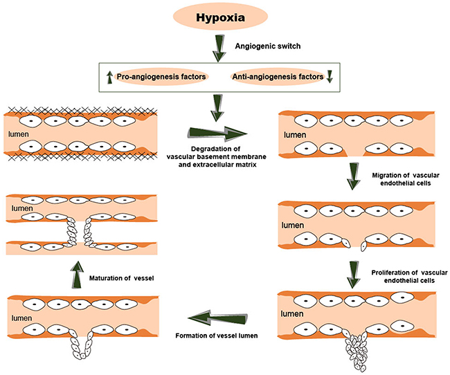 Figure 2: