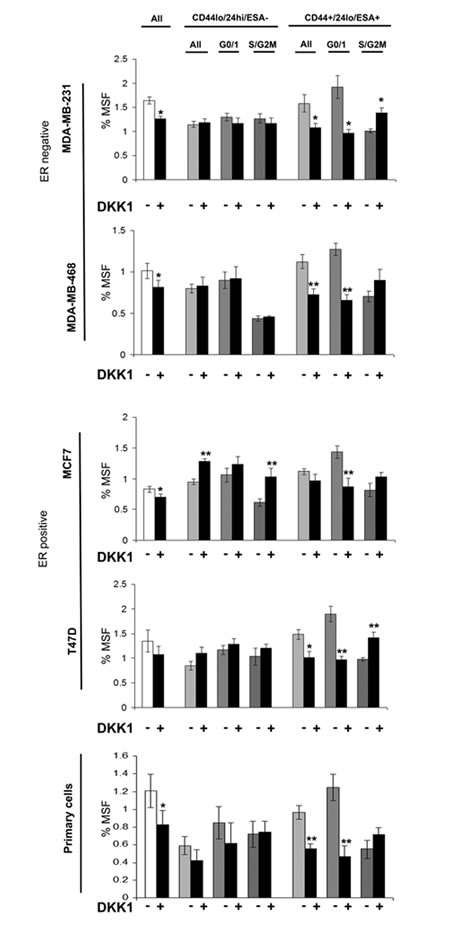 Wnt inhibitor DKK1 specifically inhibits G0/1 Stem-like cells.
