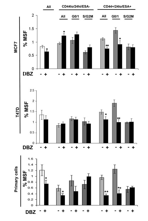 Notch inhibitor DBZ specifically inhibits G0/1 Stem-like cells.