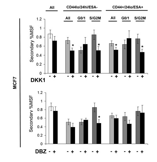 Stem cell signalling inhibitors decrease self renewal of MCF7 stem-like cells.