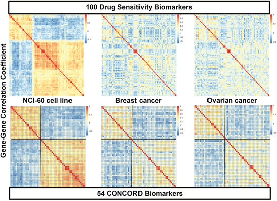 Heatmaps of gene-gene correlation matrices of initial drug sensitivity biomarkers and CONCORD biomarkers.