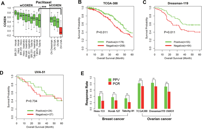 Cross-cancer type prediction of response to paclitaxel.