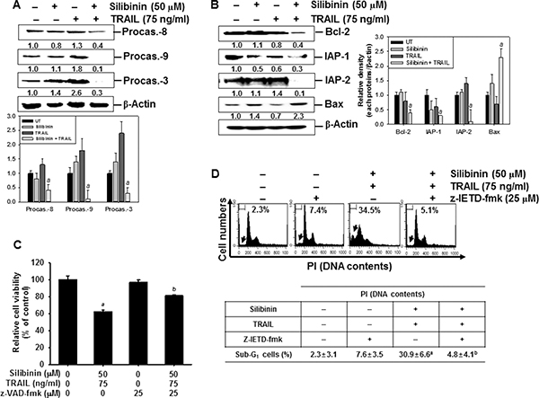 Effect of silibinin and/or TRAIL on the expression of intrinsic and extrinsic apoptotic pathway.