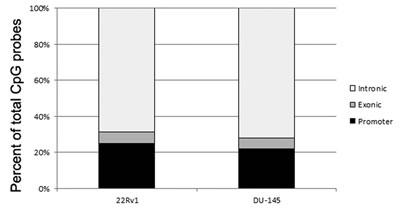Bar graph showing the distribution of the location of CpG probes that were identified in the hypomethylated DNA fraction after treatment with 5-Aza 2&#x2019;&#x2013;deoxycitidine (DAC).