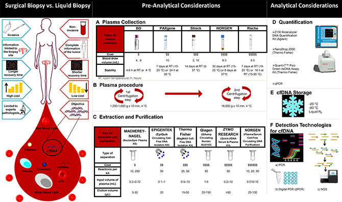 Figure 3:&#x00A0;