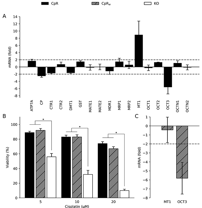 Cisplatin resistance is a stable modification of hepatoma cells.