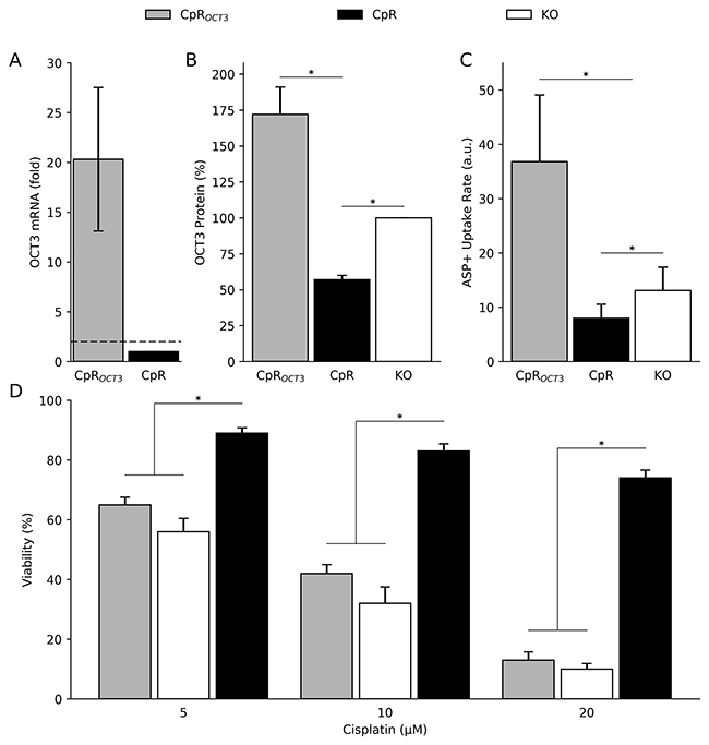 OCT3 mediates cisplatin resistance in hepatoma cells.