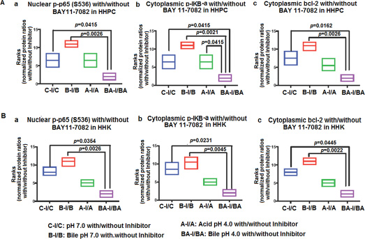 Acidic bile (pH 4.0) treated normal human hypopharyngeal cells demonstrate the most significant reduction of activated NF-