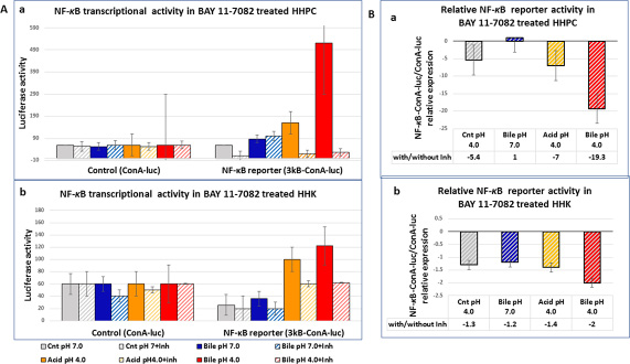 BAY 11-7082 suppresses NF-