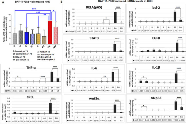 Inhibition of NF-