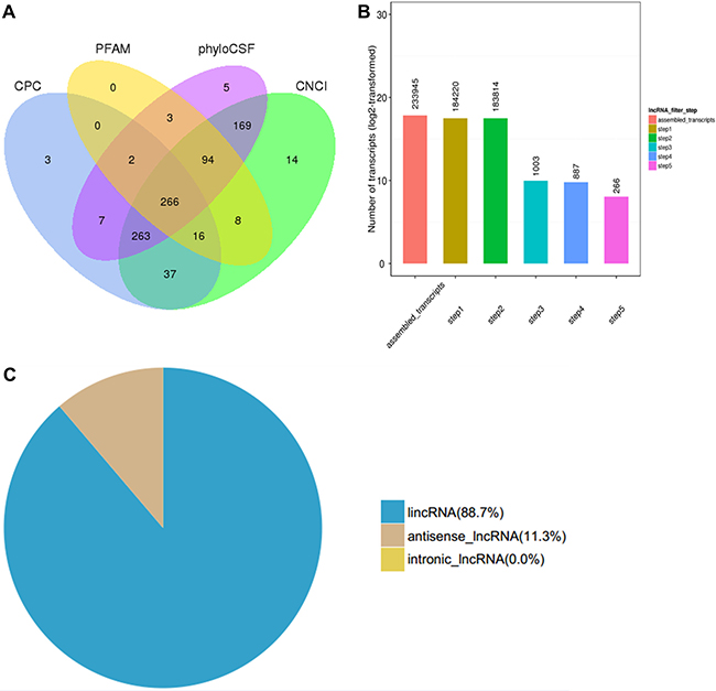 Transcriptome analysis of lncRNA by RNA-seq in three skin samples of subjects with SS and three normal skin samples.