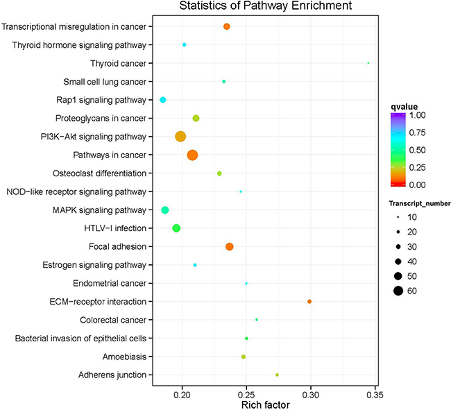 Top 20 over-represented KEGG pathways of the common differentially expressed genes.