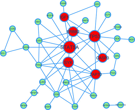 Figure 5:A network view of key drivers of aging co-expressed genes for the module GO:0042098 &#x201C;T cell proliferation&#x201D;.