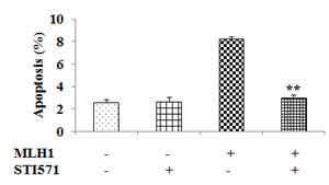 Inhibition of c-Abl nullifies MLH1-triggered apoptotic effect.