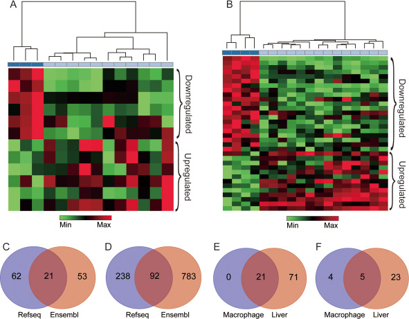 lncRNAs