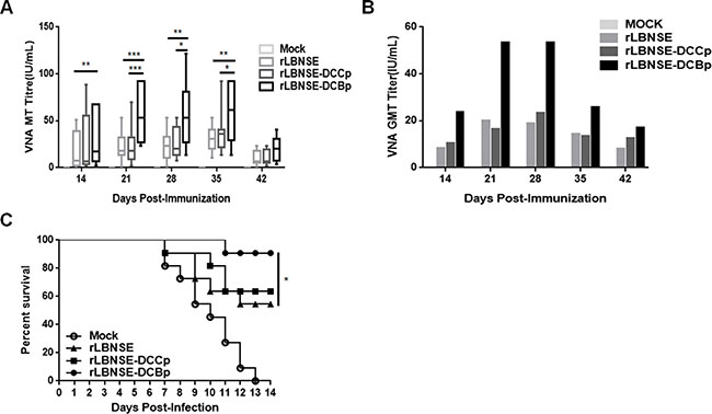 VNA production and survivorship after immunization with different rRABVs in mice.