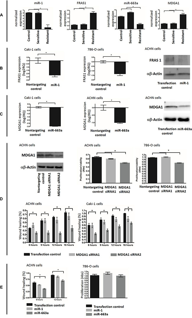 Figure 6: