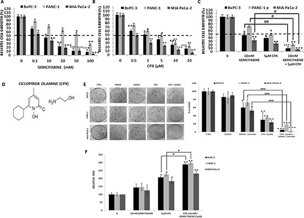 CPX showed higher inhibitory effects on cell proliferation and colony forming ability as well as further stimulation of the ROS generation compared to gemcitabine treatment, in human pancreatic cell lines.