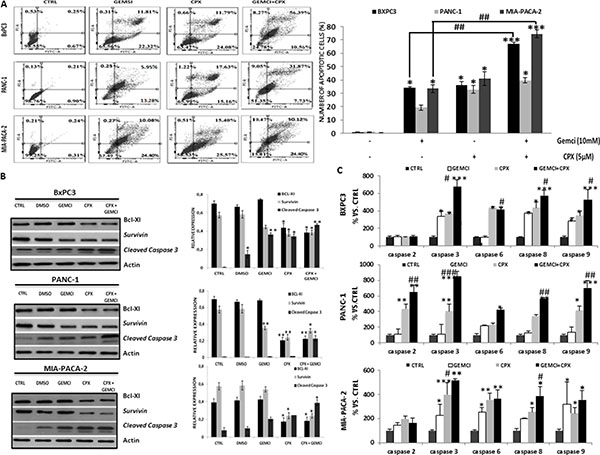 CPX decreases protein levels of Bcl-xL and survivin, increases cleavage of Bcl-2 and promotes apoptosis, more efficiently compared to gemcitabine.