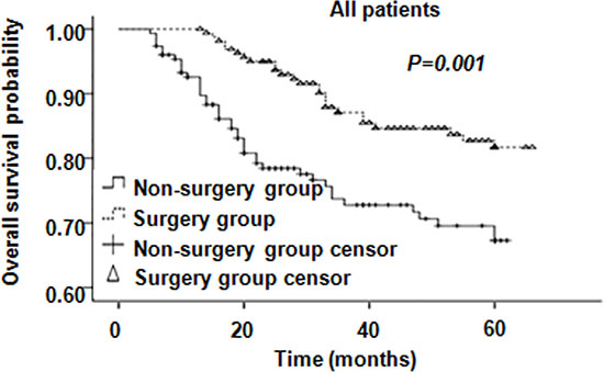 Overall survival of all patients.