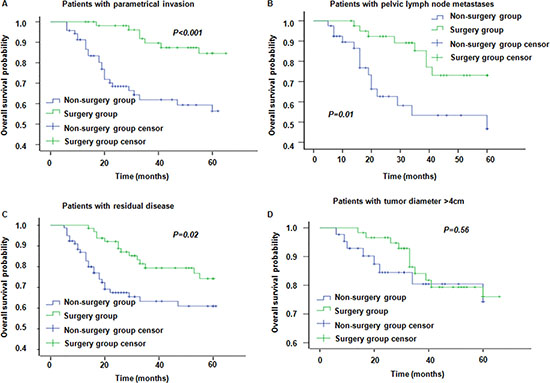 Overall survival in patients with different risk factors in surgery group and non-surgery group.