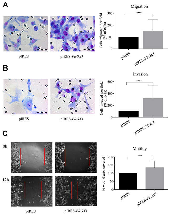 Figure 6: