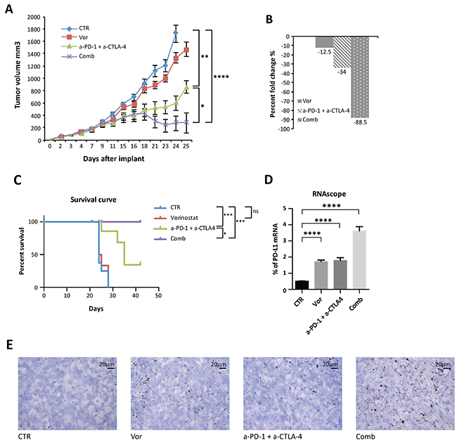 Anti-tumor activity of vorinostat, anti-PD-1 and anti-CTLA-4 on established mouse breast cancer allografts.