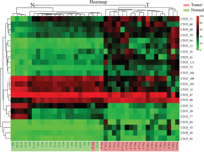 Hierarchical clustering of all 40 colorectal tissue samples and 23 tumor-specific CTCF-binding sites identified by MS-HRM analysis.