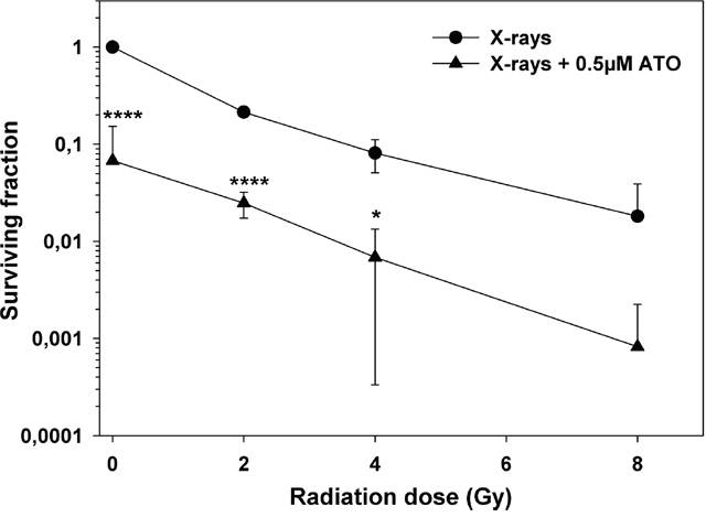 Additive cytotoxicity of radiation and ATO in PhKh1 cells.