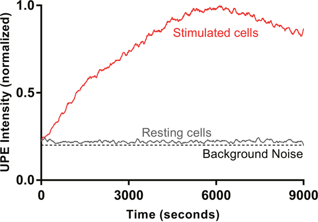 A representative UPE profile of HL-60 cells in resting state and upon triggering ROS response stimulated by PMA.