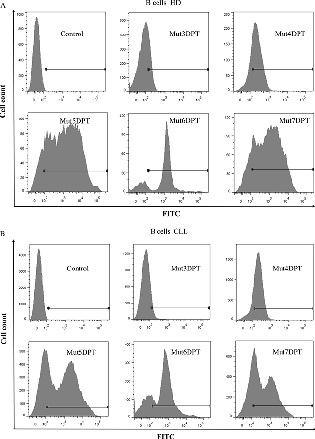 Internalization of FITC-labelled shuttles on healthy and tumoral primary B cells.