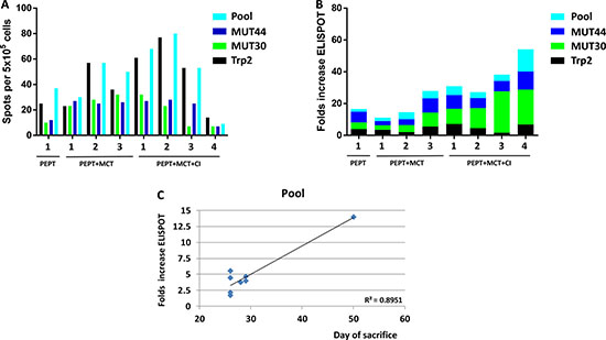 Figure 7: