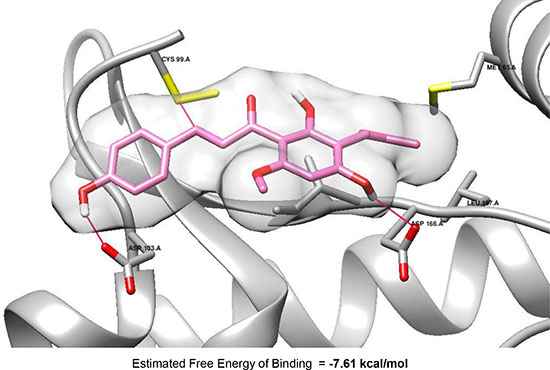 Molecular