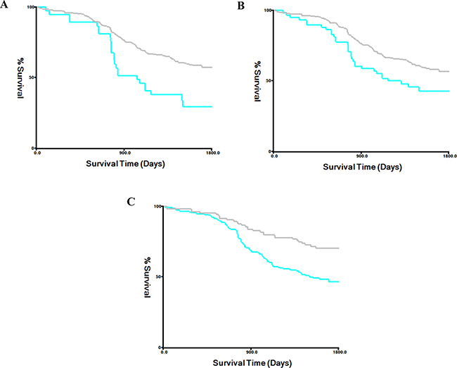 Kaplan-Meier survival curves stratified by serum bilirubin level in the validation cohort.