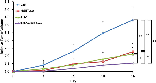 Quantitative efficacy of chemotherapy on the BRAF-V600E-negative PDOX.