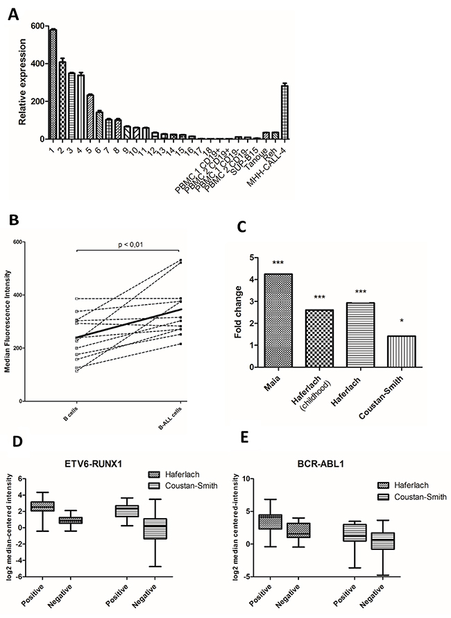 PRL-3 was expressed in higher levels in B-ALL patient cells than in healthy control cells.