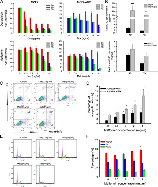 Cytotoxicity of metformin and doxorubicin.