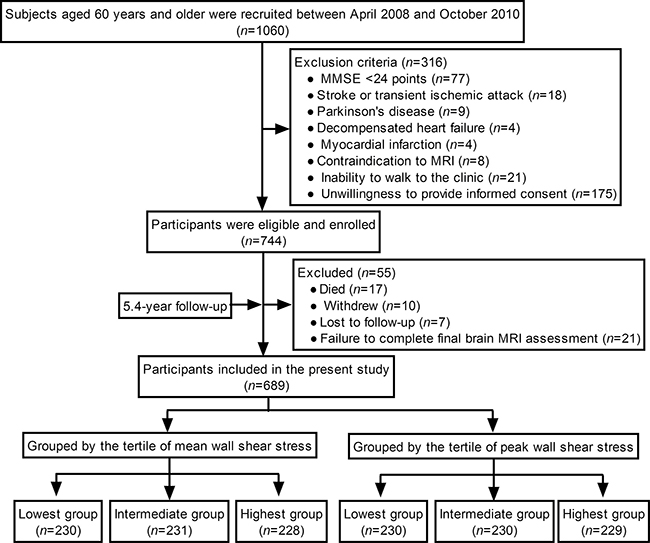 A flow diagram of the study.