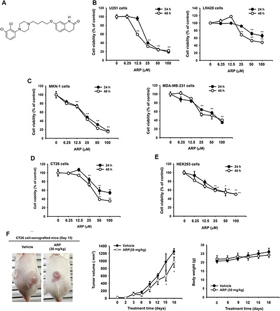 In vitro and in vivo anti-cancer effects of aripiprazole (ARP).