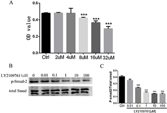 LY2109761 inhibits cell proliferation by down-regulation the phosphorylation of Smad-2.