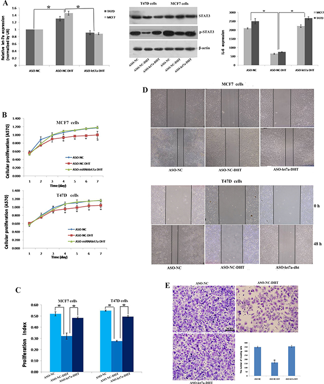 AR activation decreased cell proliferation, migration and invasion by up-regulating let-7a expression.