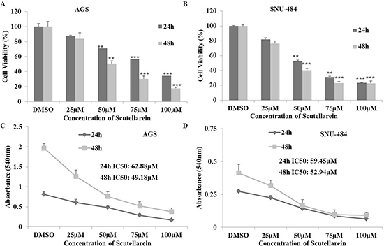 Inhibitory effects of Scutellarein on AGS and SNU-484 Gastric cancer cells.