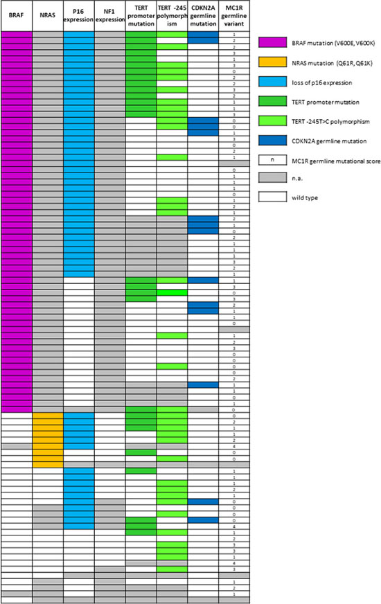 Combining results of germline and somatic analysis obtained in the study cohort.