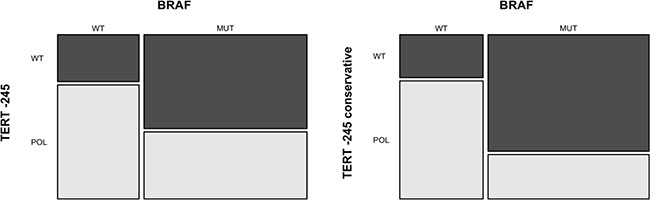 Association between the TERT &#x2013;245T&#x003E;C polymorphism and BRAF V600 mutation.